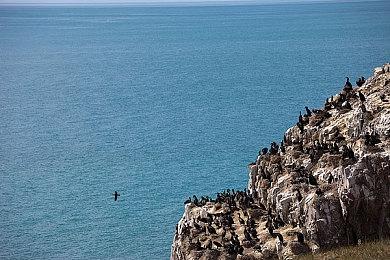《使命召唤：战区》太平洋第2赛季延期 为修复更多BUG
