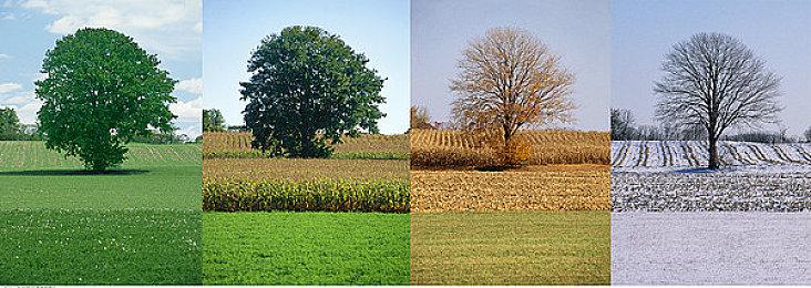 B社高管确定《上古卷轴6》已脱离概念阶段 正在开发中